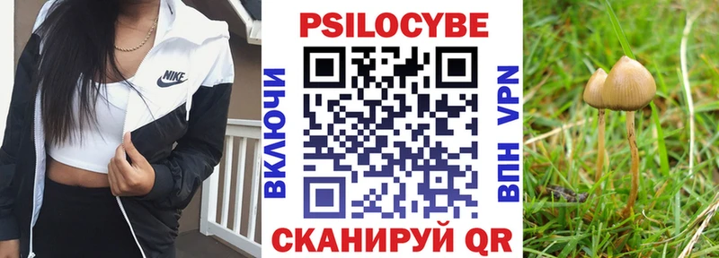 МЕГА маркетплейс  купить наркотики цена  Кумертау  Галлюциногенные грибы Magic Shrooms 